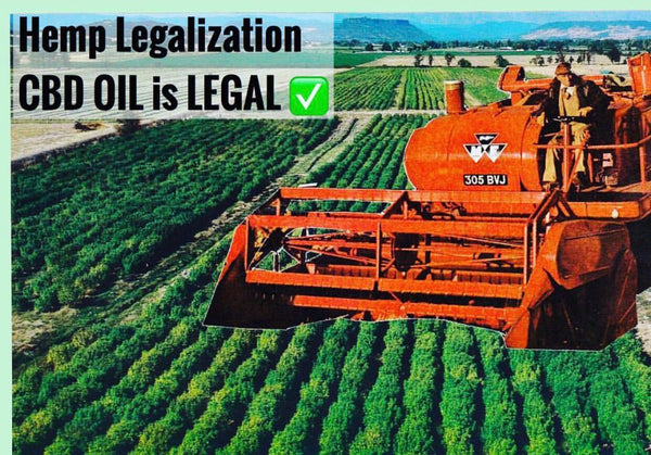 Hemp Farm Bill Signed... CBD is LEGAL!